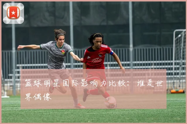 篮球明星国际影响力比较：谁是世界偶像